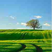 淘‍宝‌开﻿放​平‍台﻿api接‍口‍